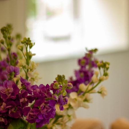 The Potting Shed, 5* Luxury Escape Cirencester Exteriör bild